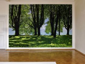Andreas Scholz